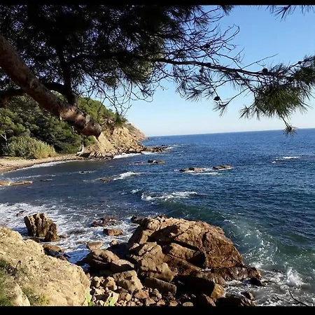 公寓 Superbe Neuf Aucalme